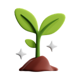 Pacerr growth